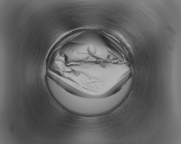 X0000116301276200912291425