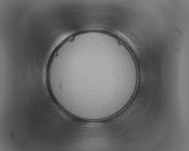 X0000116301277200912291425