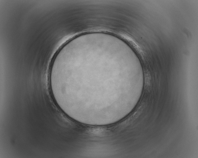 X0000116301278200912291424