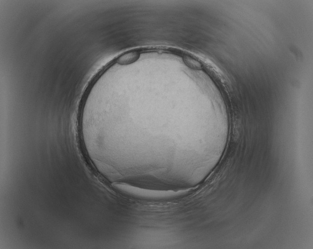 X0000116301279200912291424