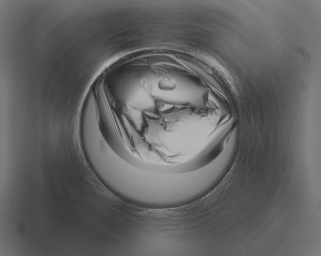 X0000116301280200912291424