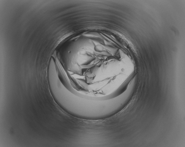 X0000116301281200912291424