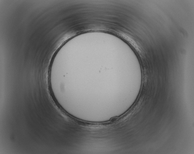 X0000116301282200912291424