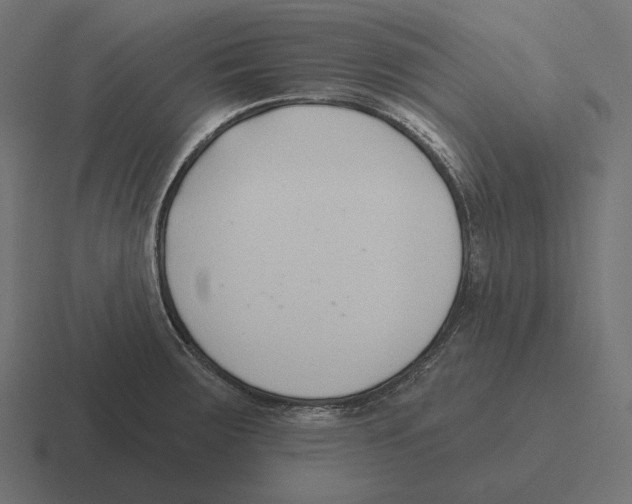 X0000116301283200912291424