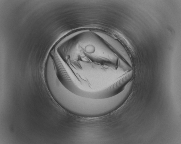 X0000116301284200912291424