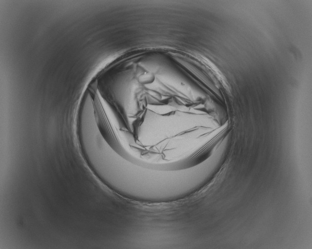 X0000116301285200912291424