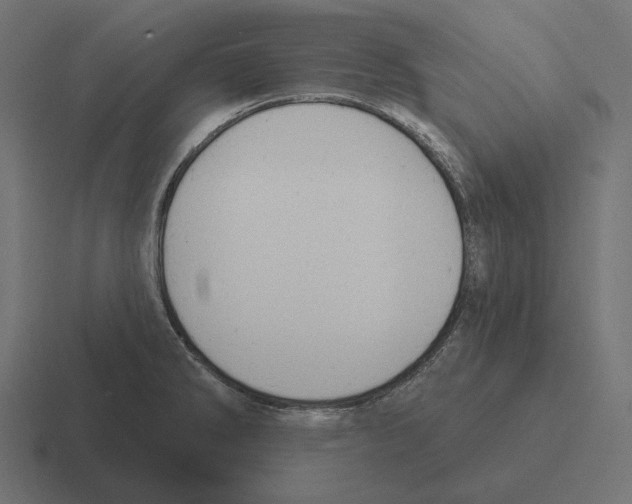 X0000116301286200912291424