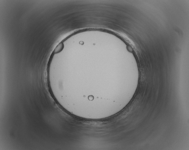 X0000116301287200912291424