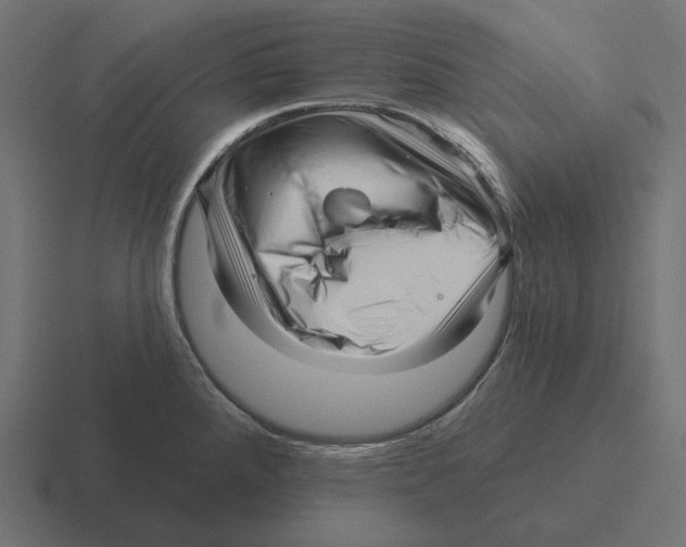 X0000116301288200912291424