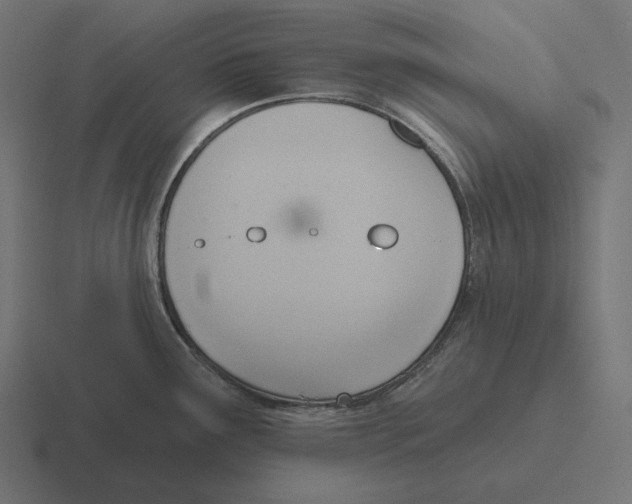 X0000116301291200912291424