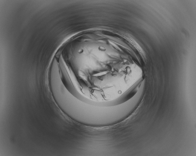 X0000116301292200912291424