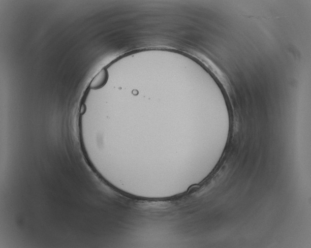 X0000116301293200912291424