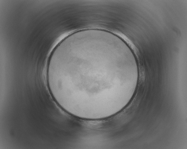 X0000116301294200912291424