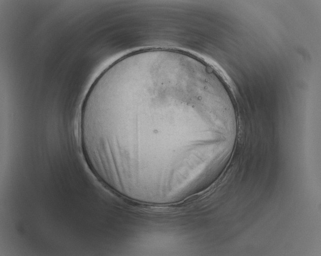 X0000116301295200912291424