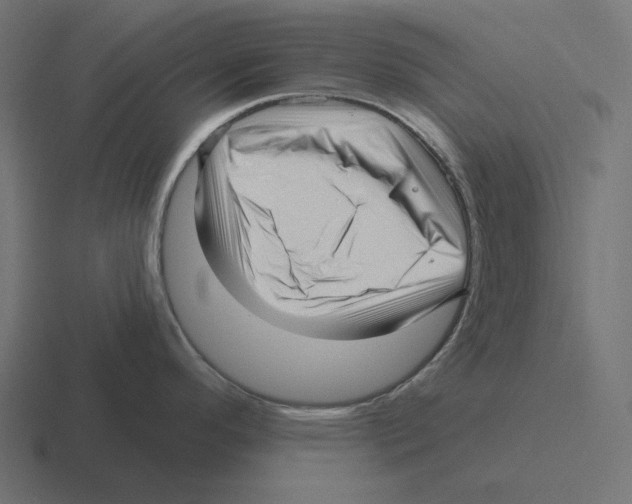 X0000116301296200912291424