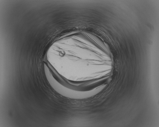 X0000116301298200912291424