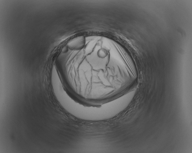 X0000116301303200912291424