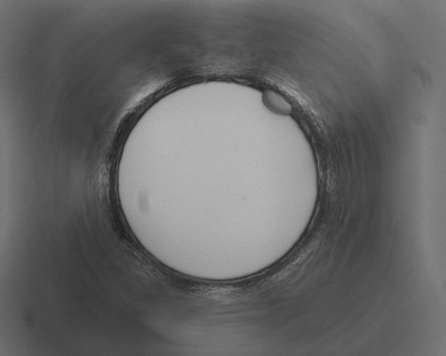 X0000116301309200912291424