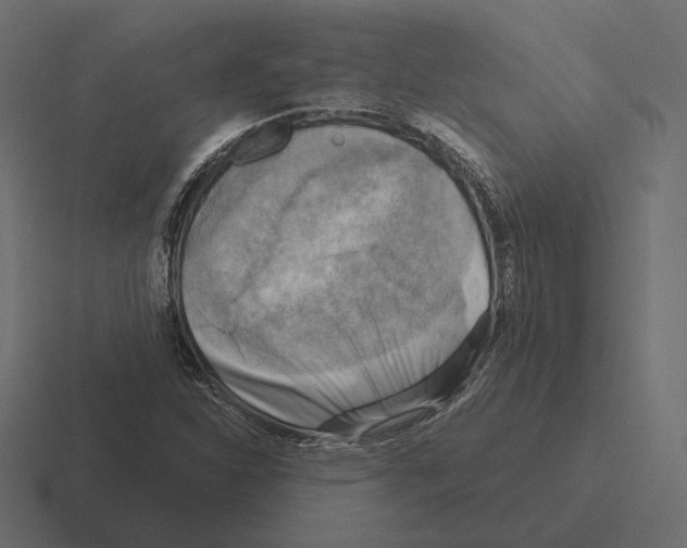 X0000116301310200912291424