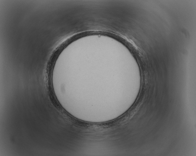 X0000116301311200912291424