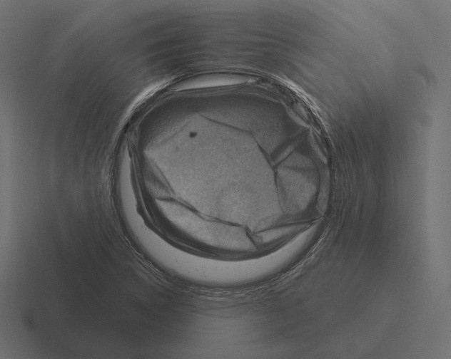 X0000116301314200912291424