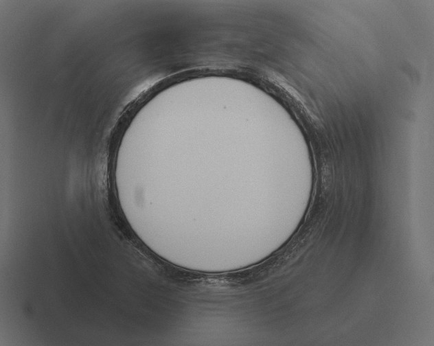 X0000116301315200912291424