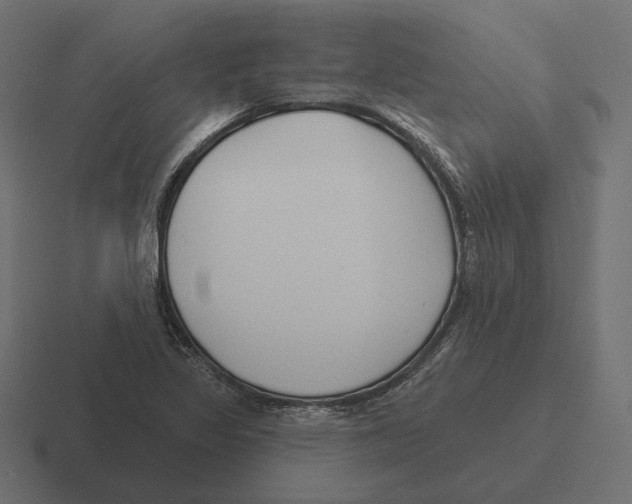 X0000116301317200912291424