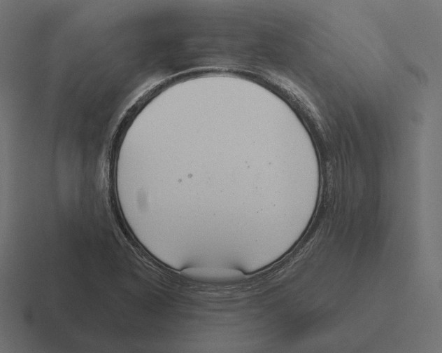 X0000116301318200912291424