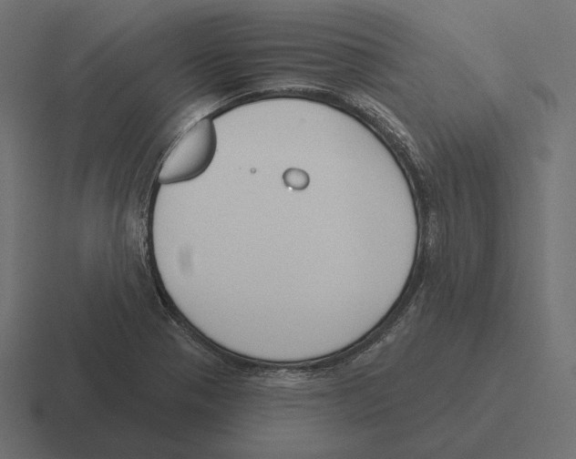 X0000116301321200912291424