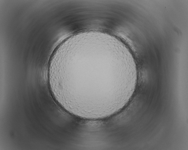 X0000116301322200912291424