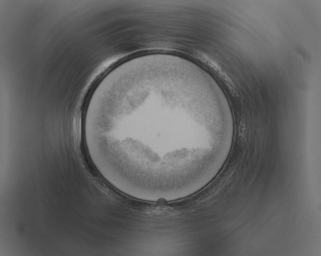 X0000116301323200912291424