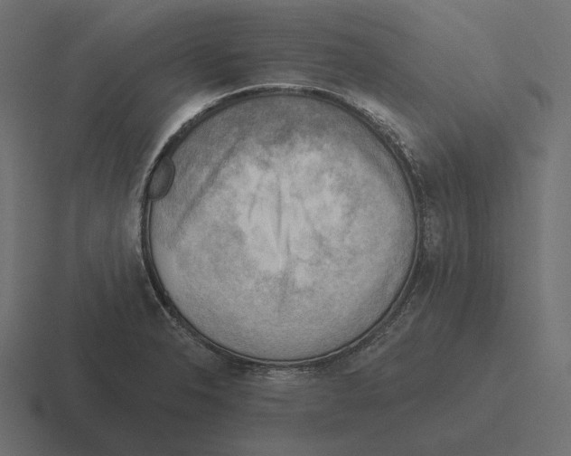 X0000116301326200912291424