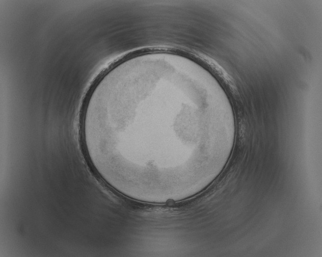 X0000116301327200912291424