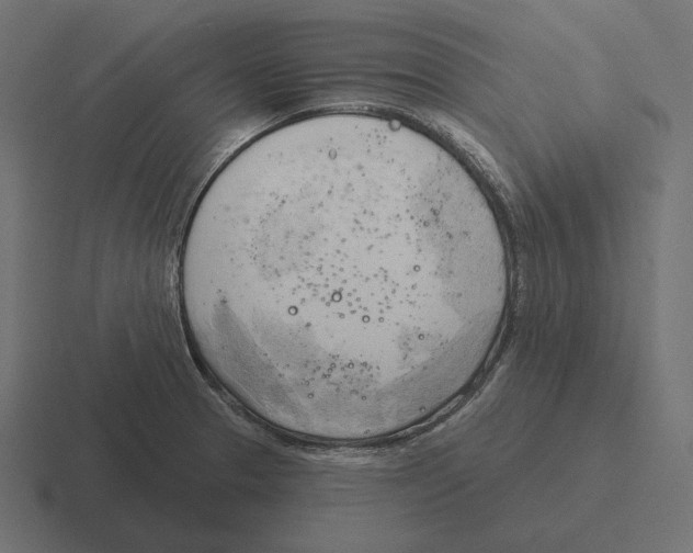 X0000116301329200912291424