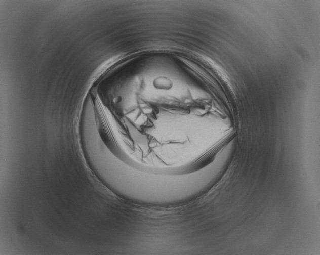 X0000116301330200912291424