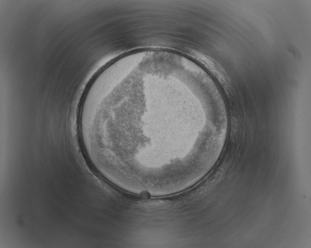 X0000116301331200912291424