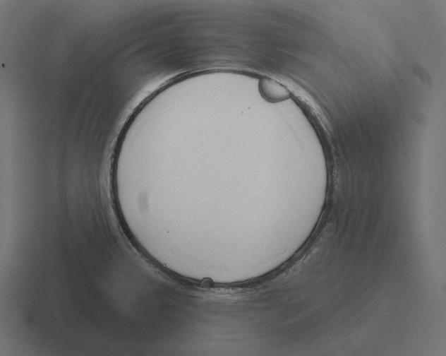 X0000116301333200912291424