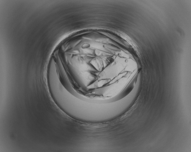 X0000116301334200912291424