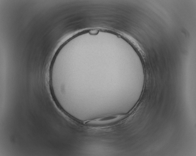 X0000116301335200912291424