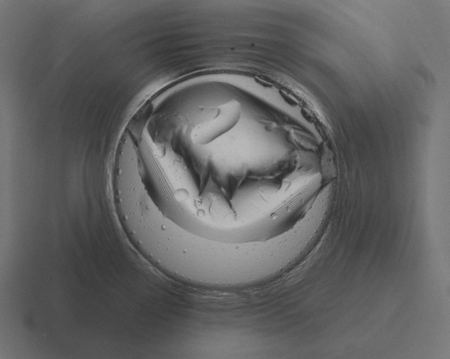 X0000116301338200912291424