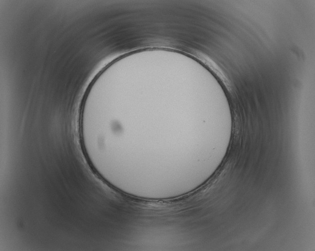 X0000116301339200912291424