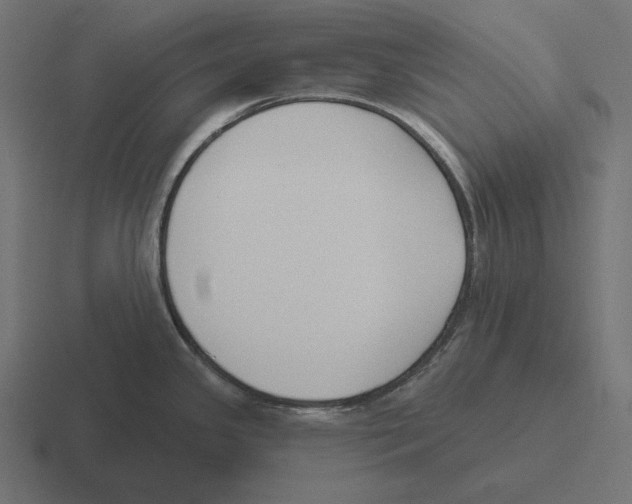 X0000116301341200912291424