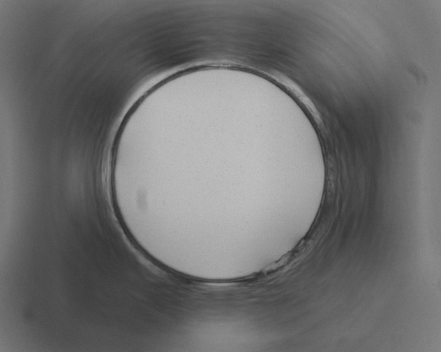 X0000116301343200912291424