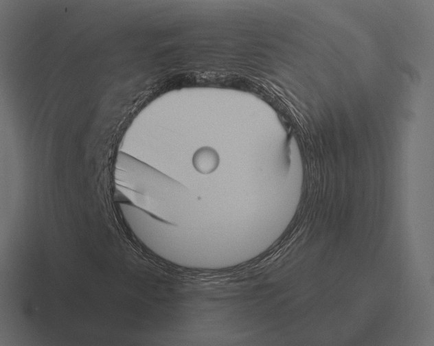 X0000116301345200912291424