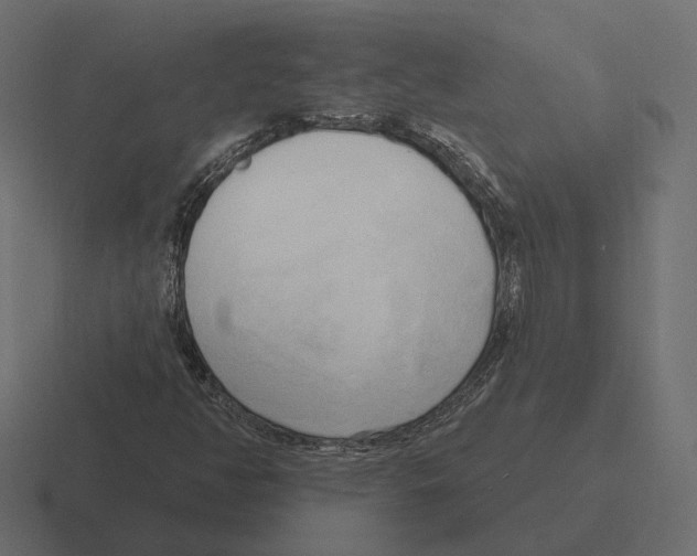 X0000116301350200912291424