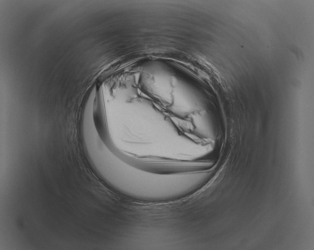 X0000116301353200912291424