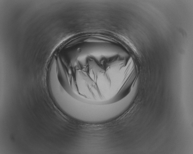 X0000116301356200912291424