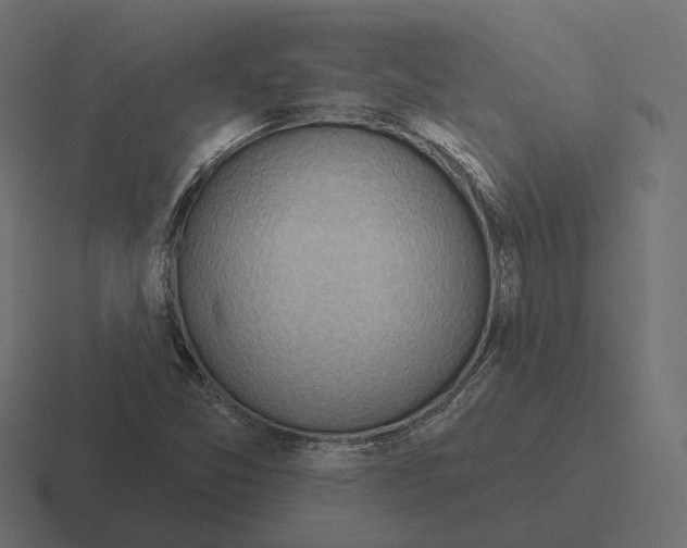 X0000116301357200912291423