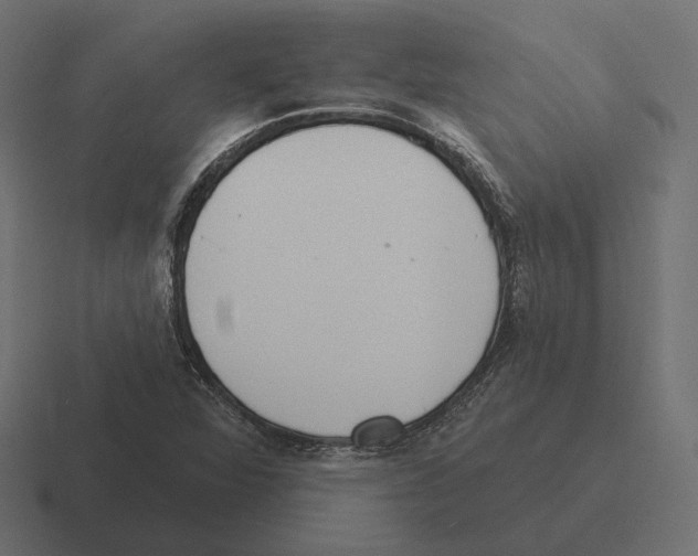 X0000116301360200912291423