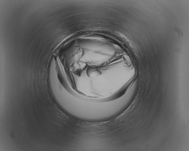 X0000116301361200912291423